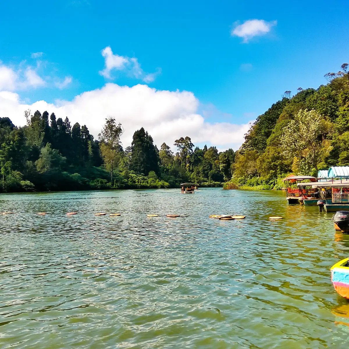 Ooty