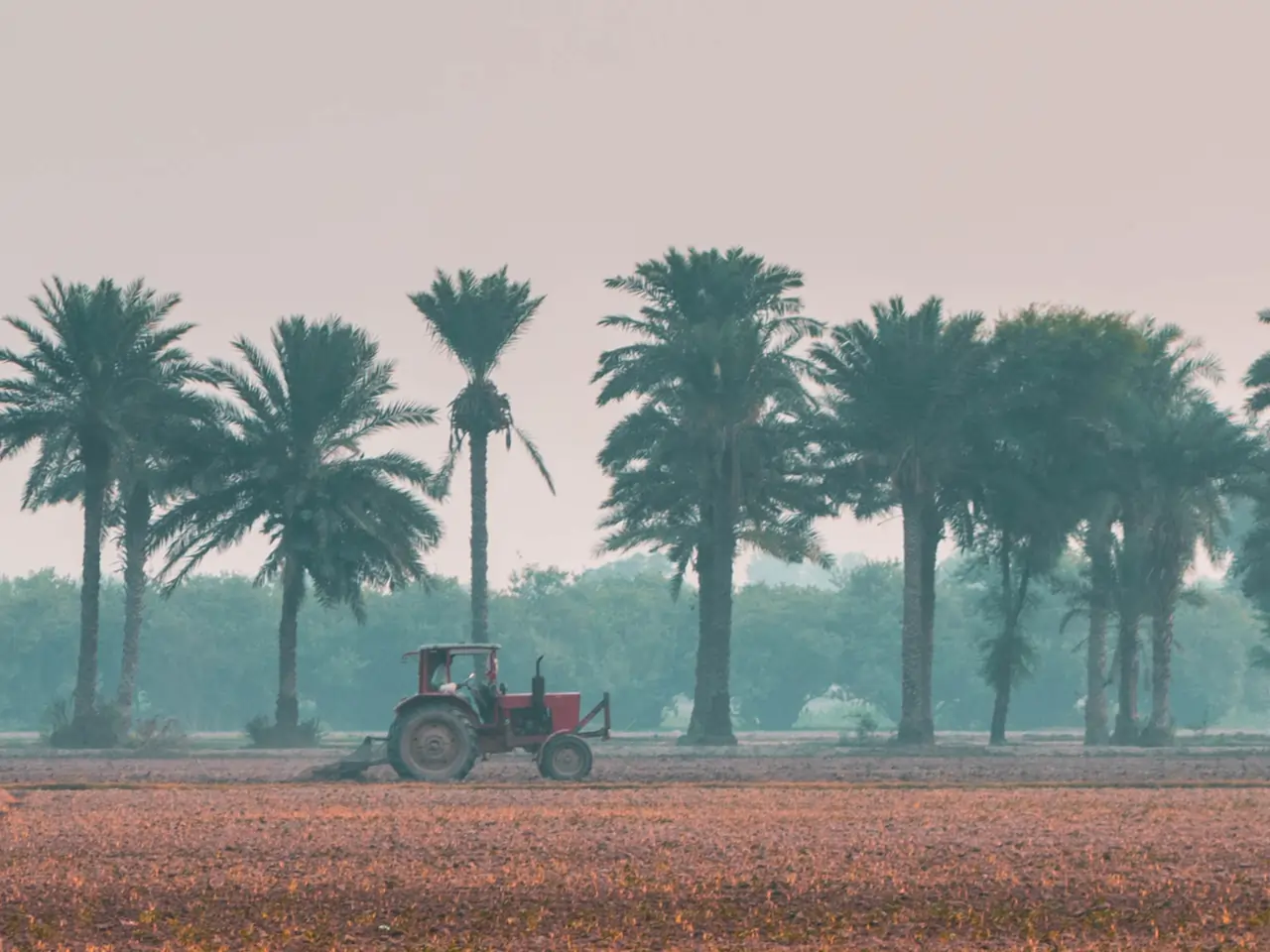 Dera Bassi