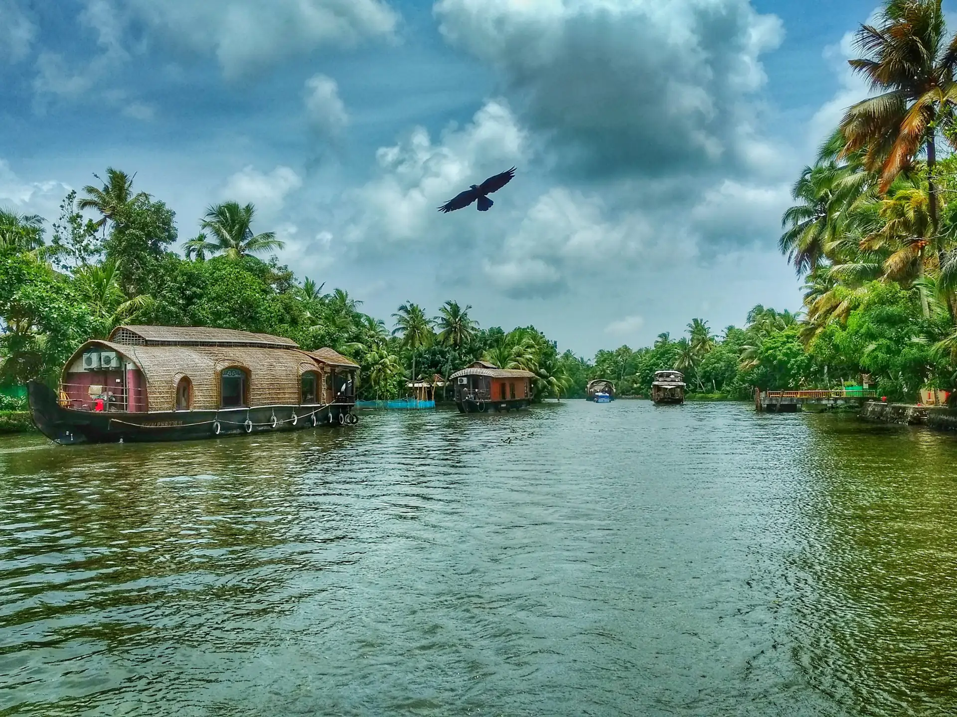 Palakkad