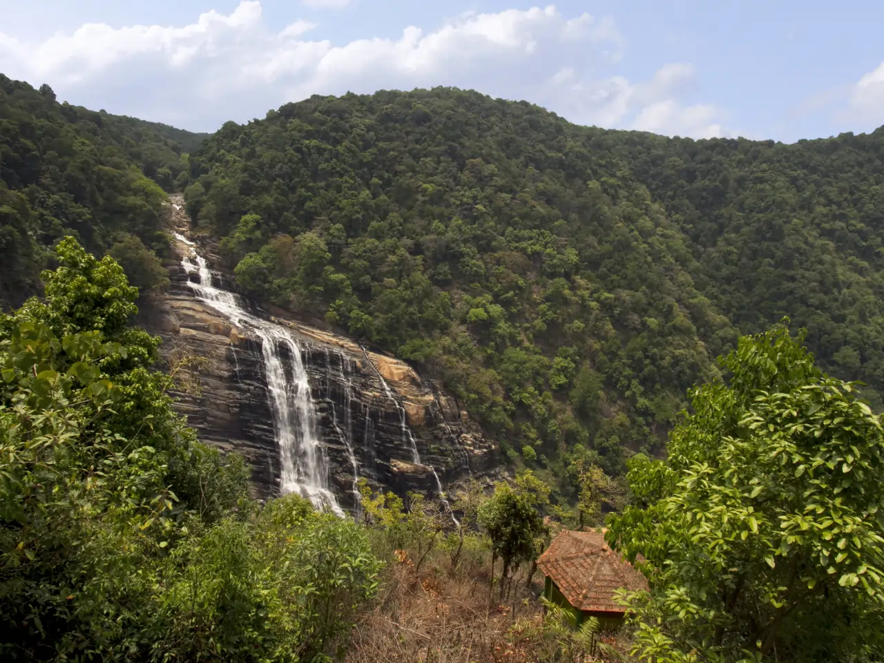 Sirsi