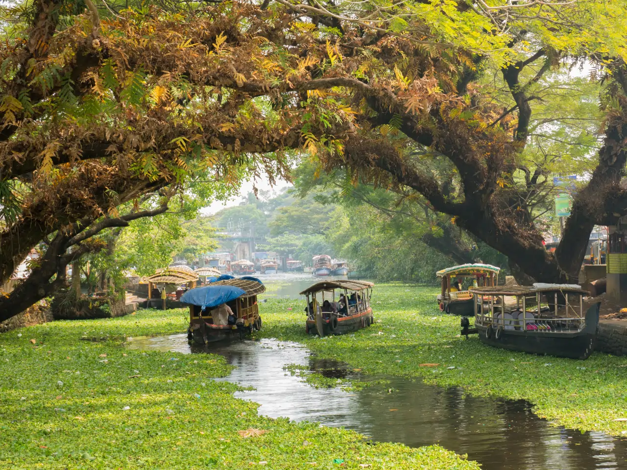 Thekkady