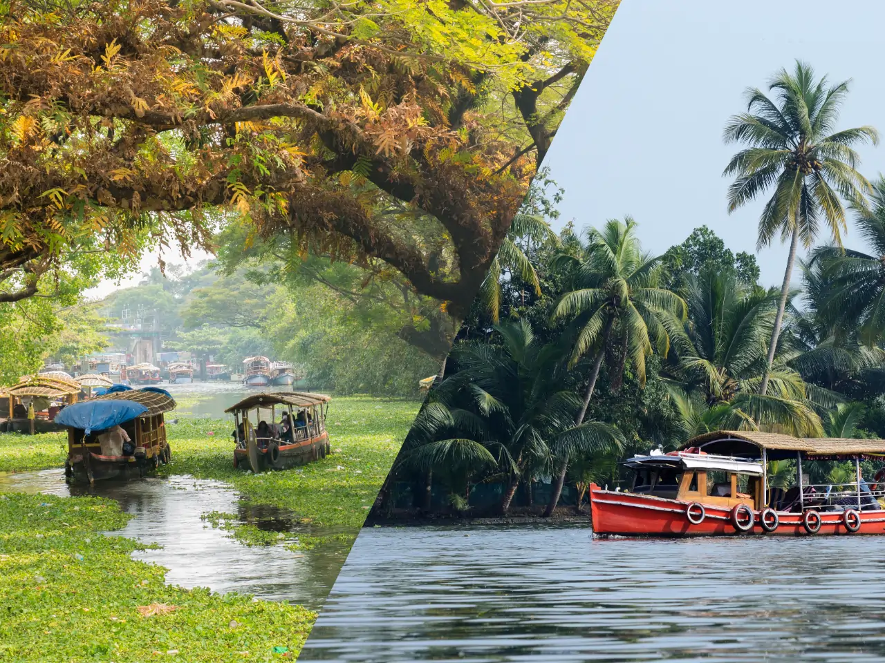 Alleppey to Thekkady Taxi Service - Car Rental and Outstation Cab Booking