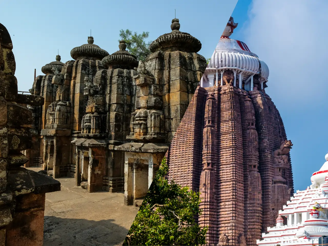 Bhubaneswar to Kakatpur Taxi Service - Car Rental and Outstation Cab Booking