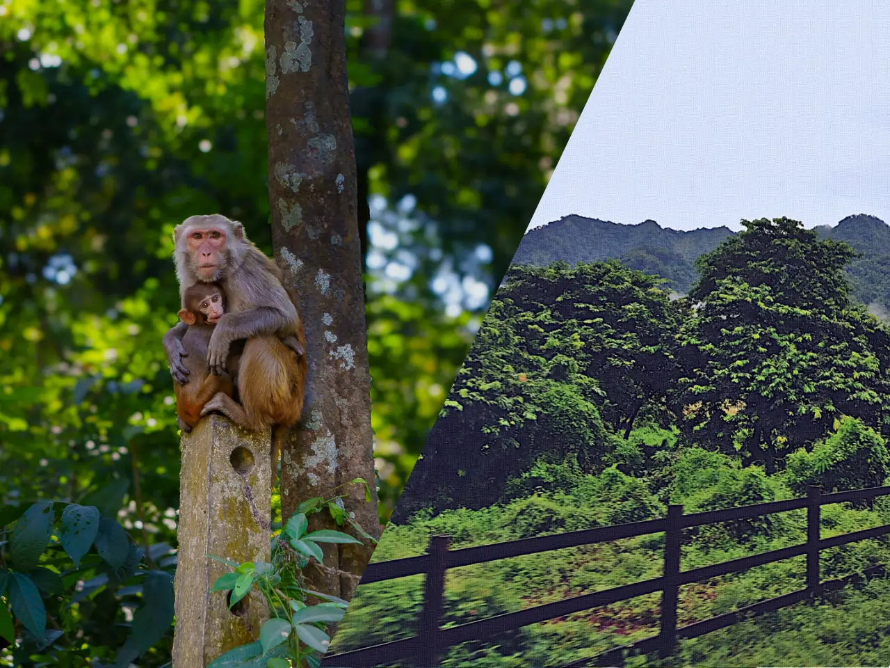 Dooars to Siliguri Taxi Service - Car Rental and Outstation Cab Booking