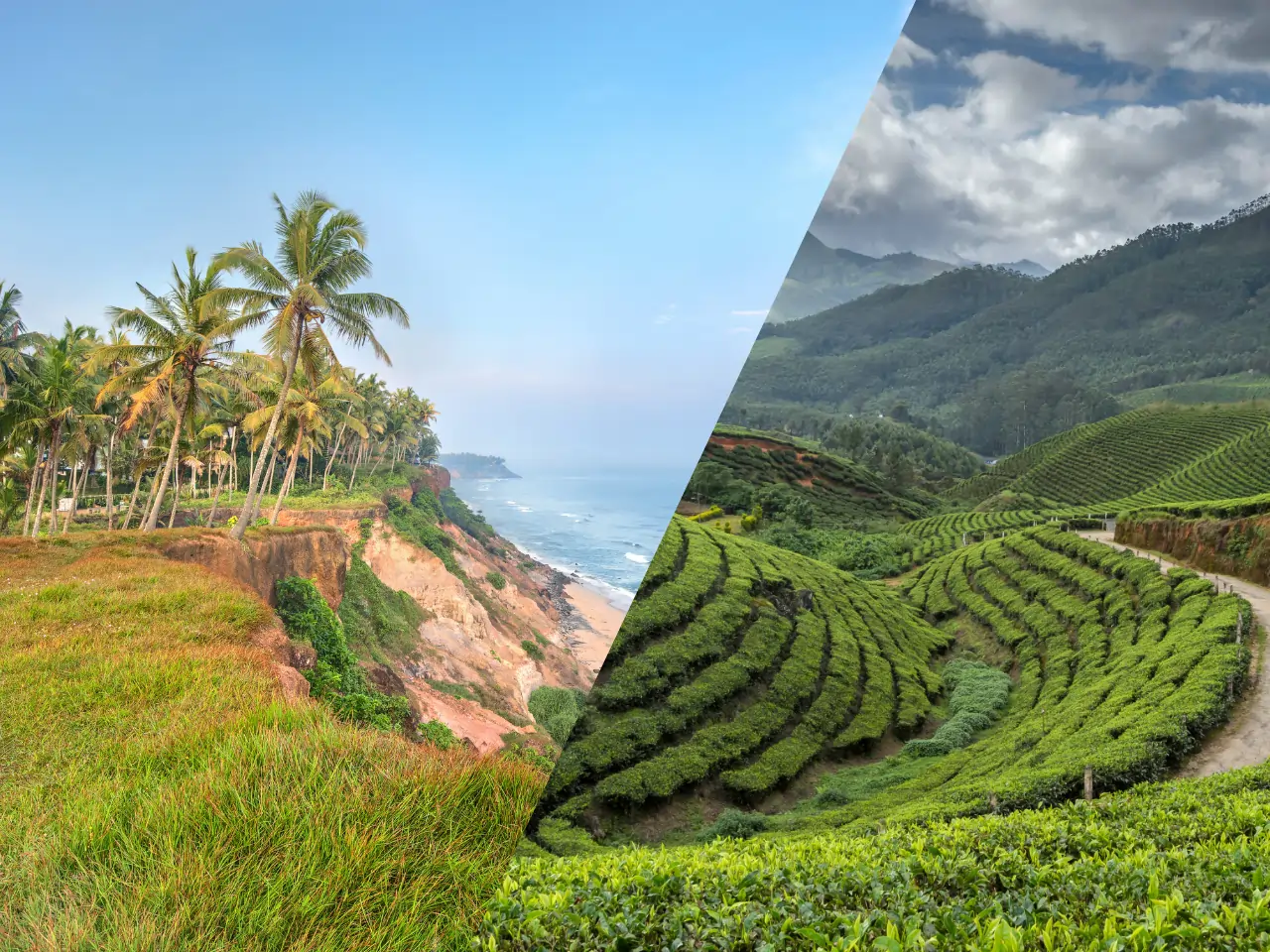 Ernakulam to Munnar Taxi Service - Car Rental and Outstation Cab Booking