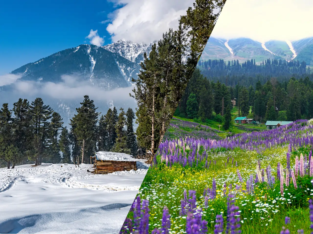 Jammu to Pahalgam Taxi Service - Car Rental and Outstation Cab Booking