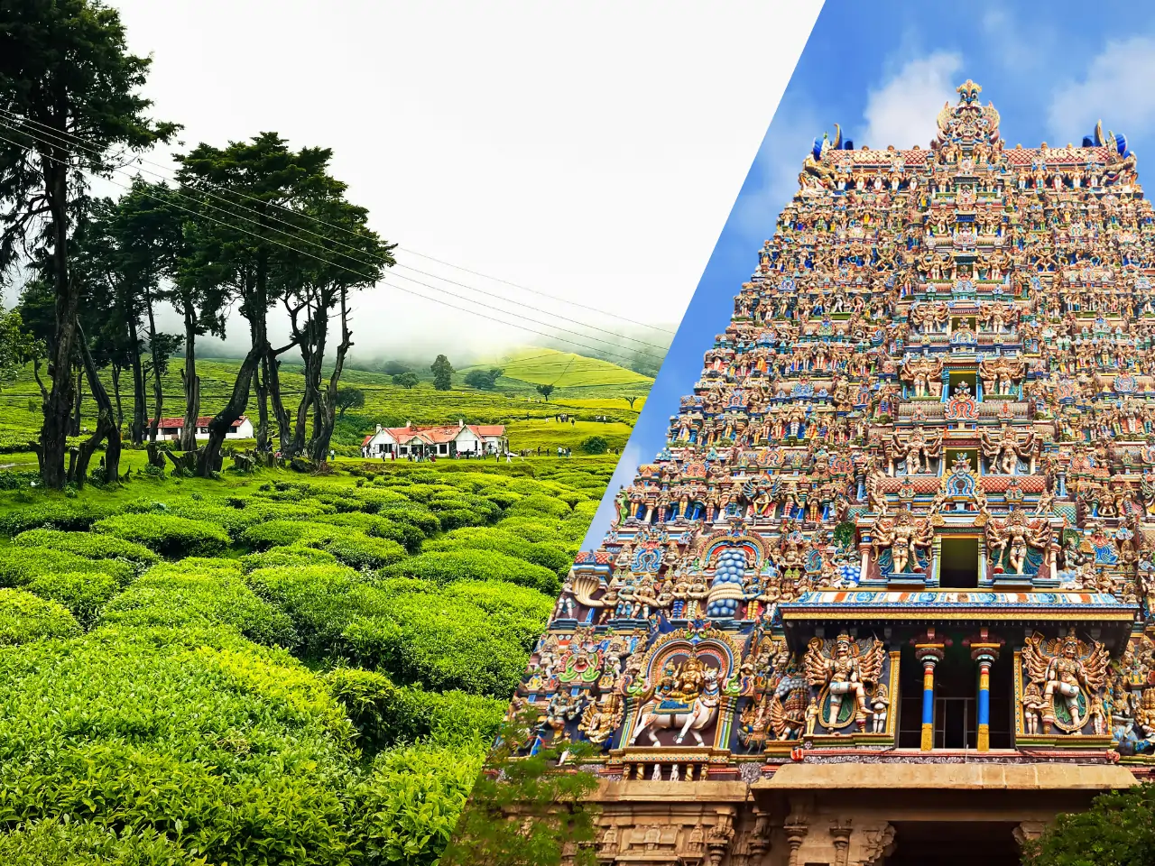Kodaikanal to Madurai Taxi Service - Car Rental and Outstation Cab Booking