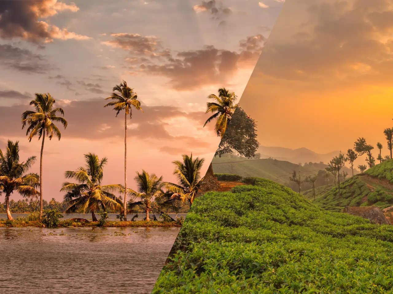 Kozhikode to Wayanad Taxi Service - Car Rental and Outstation Cab Booking