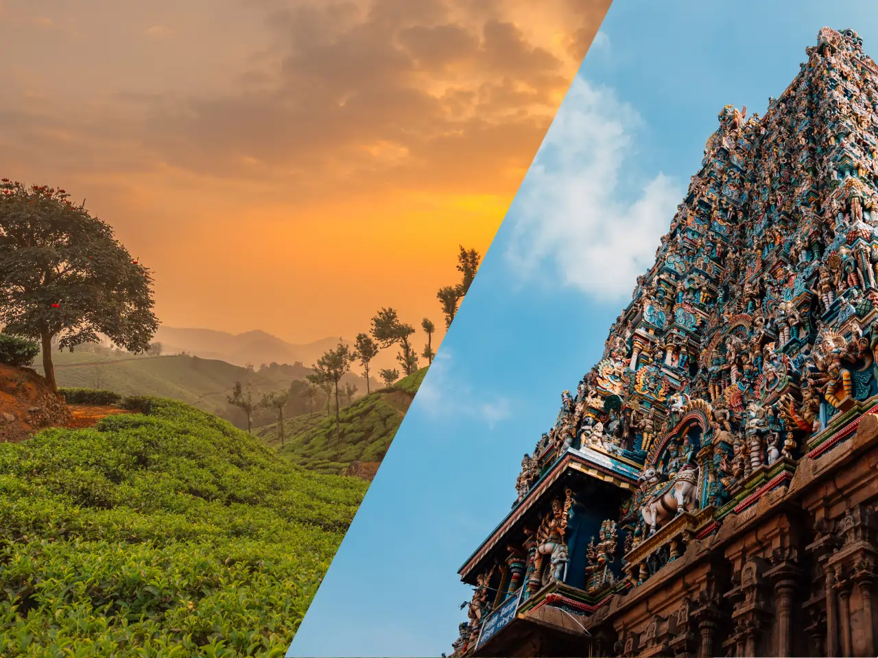 Munnar to Madurai Taxi Service - Car Rental and Outstation Cab Booking