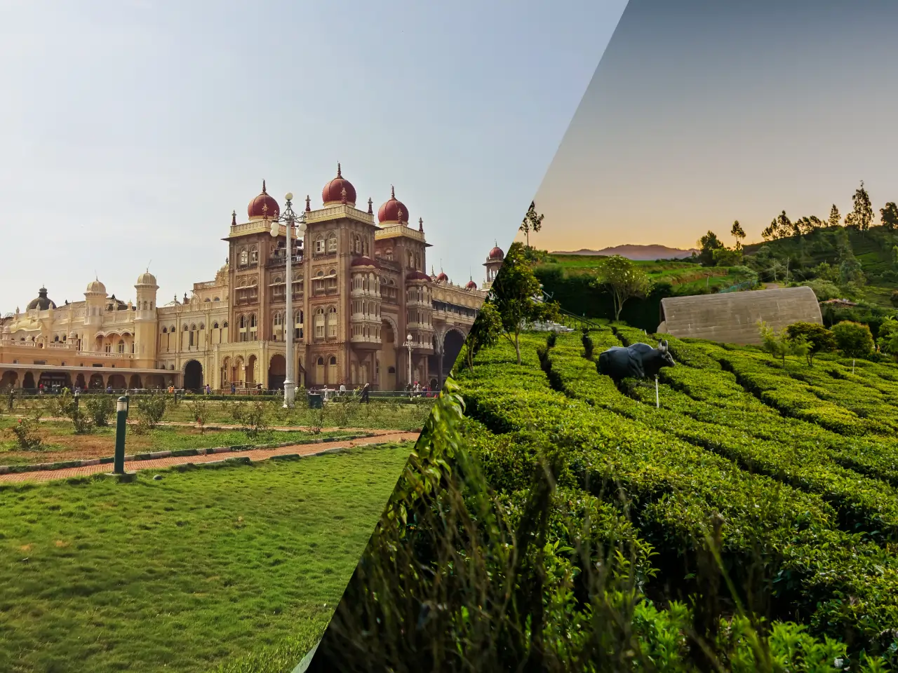 Mysore to Ooty Taxi Service - Car Rental and Outstation Cab Booking