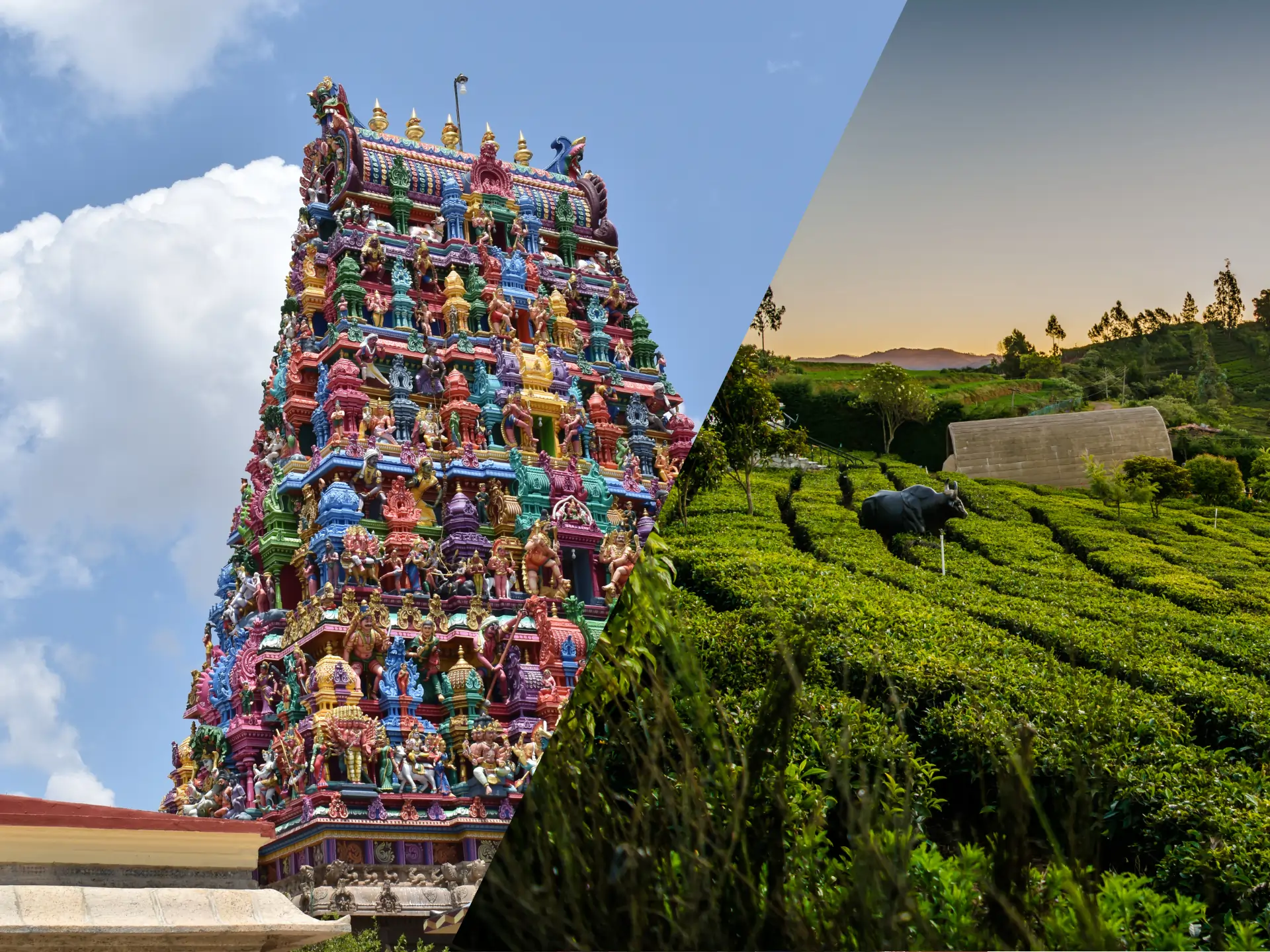Omalur to Coimbatore Taxi Service - Car Rental and Outstation Cab Booking