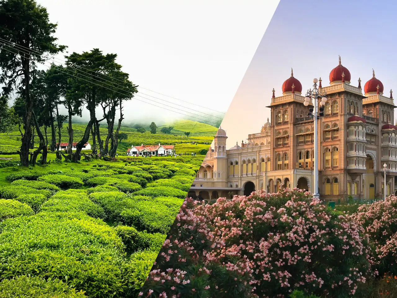 Ooty to Mysore Taxi Service - Car Rental and Outstation Cab Booking