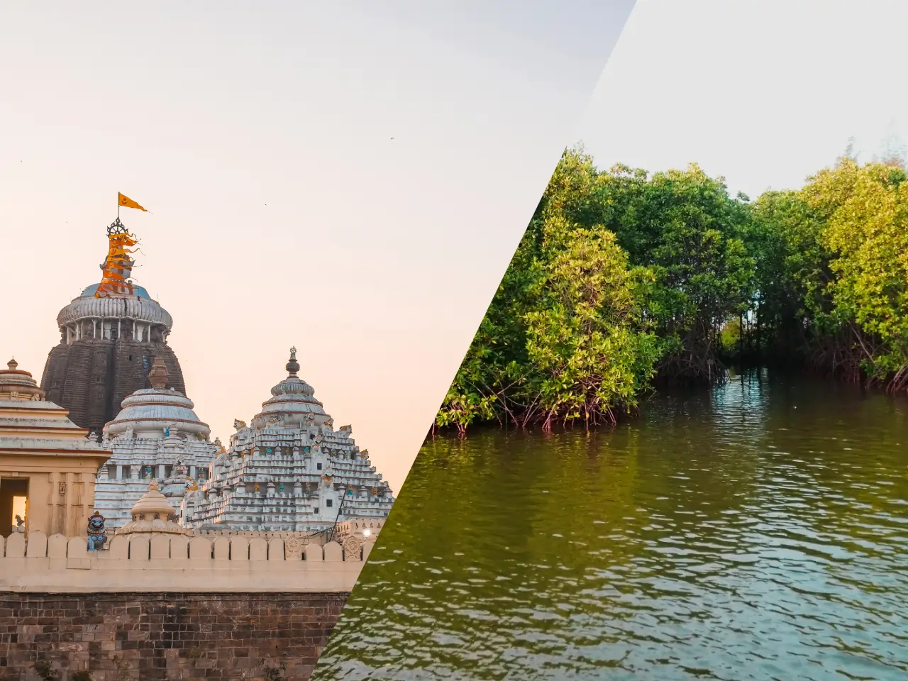 Puri to Bhitarkanika Taxi Service - Car Rental and Outstation Cab Booking