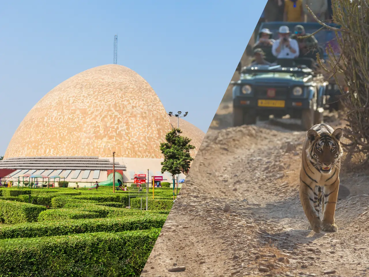 Siliguri to Dooars Taxi Service - Car Rental and Outstation Cab Booking