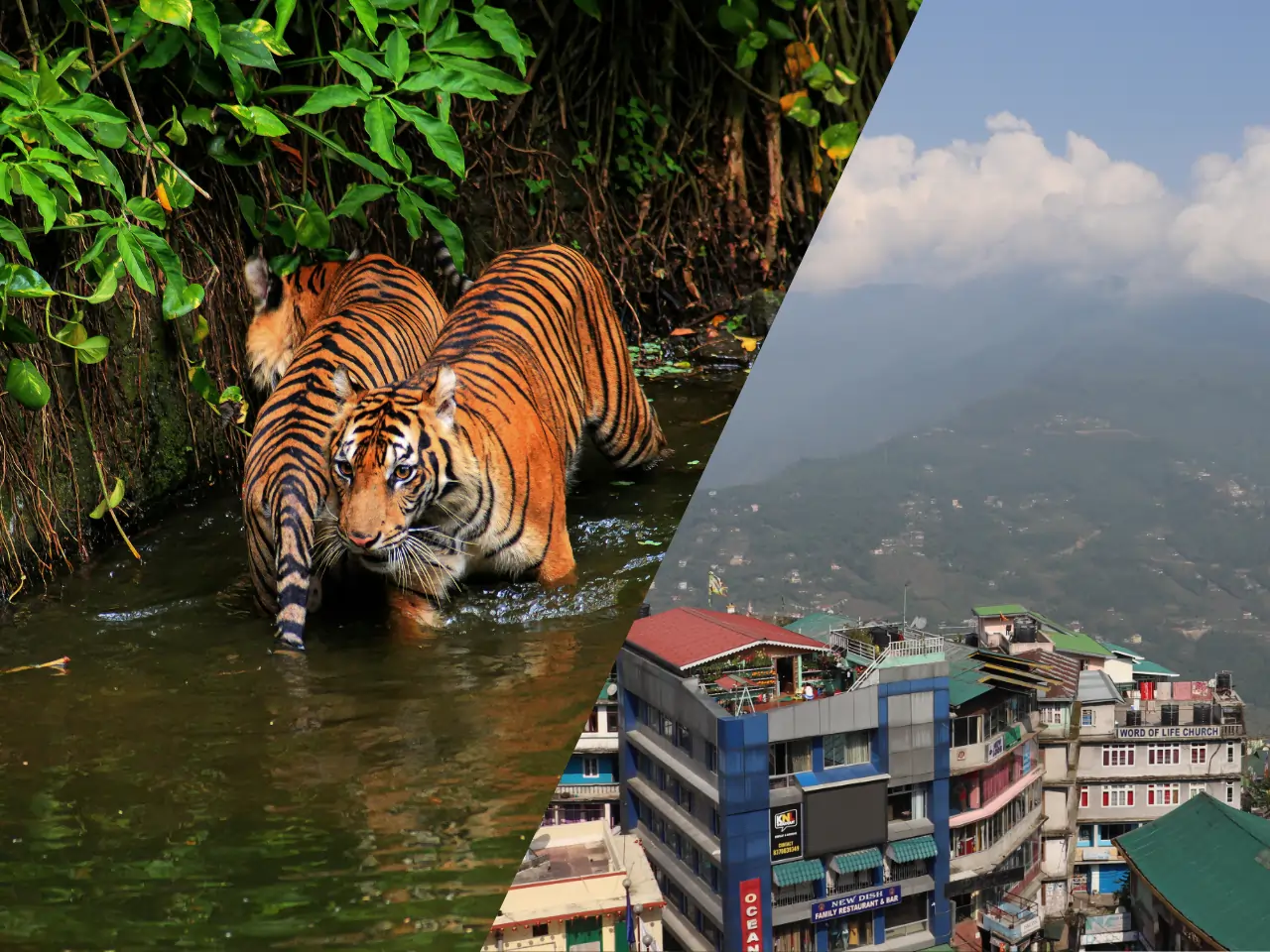 Siliguri to Gangtok Taxi Service - Car Rental and Outstation Cab Booking