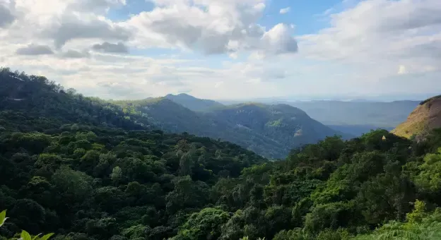 z point view